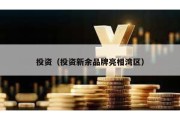 投資（投資新余品牌亮相灣區(qū)）