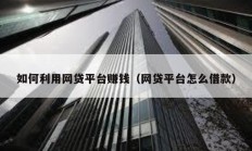 如何利用網(wǎng)貸平臺(tái)賺錢(qián)（網(wǎng)貸平臺(tái)怎么借款）