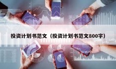 投資計(jì)劃書(shū)范文（投資計(jì)劃書(shū)范文800字）