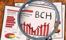 bch創始價格,BCHC最近多少錢