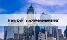 何理財投資（100萬現金如何理財投資）