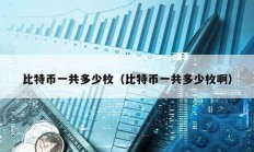 比特幣一共多少枚（比特幣一共多少枚啊）
