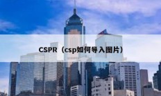 CSPR（csp如何導(dǎo)入圖片）