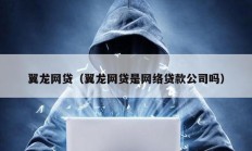 翼龍網貸（翼龍網貸是網絡貸款公司嗎）