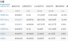 bcn幣價格,BNB幣最新價格