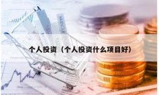 個人投資（個人投資什么項目好）