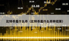 比特幣是什么幣（比特幣是什么幣種結算）