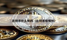 比特幣什么樣的（比特幣啥模樣）