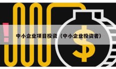 中小企業(yè)項目投資（中小企業(yè)投資者）