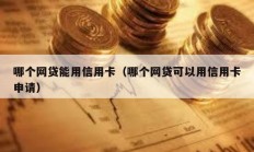 哪個網貸能用信用卡（哪個網貸可以用信用卡申請）