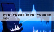 企業有一個投資項目（企業有一個投資項目怎么辦）