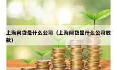 上海網(wǎng)貸是什么公司（上海網(wǎng)貸是什么公司放款）
