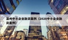 溫州中小企業(yè)融資案例（2020中小企業(yè)融資案例）