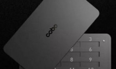 萊特錢(qián)包中文,比特派錢(qián)包官網(wǎng)版APP正版