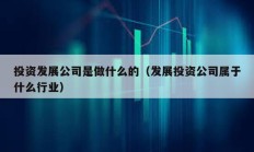 投資發展公司是做什么的（發展投資公司屬于什么行業）