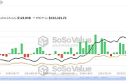 現(xiàn)貨比特幣ETF流入量下降 但BTC鯨魚活動(dòng)預(yù)示牛市加速