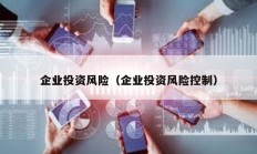 企業投資風險（企業投資風險控制）