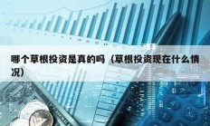哪個草根投資是真的嗎（草根投資現在什么情況）