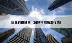 國脈科技股票（國脈科技股票行情）