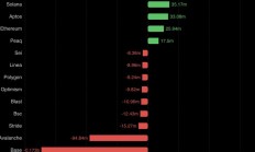 老鼠倉疑云 VC 幣 Berachain 的懺悔