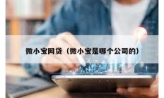 微小寶網貸（微小寶是哪個公司的）