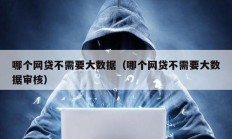 哪個(gè)網(wǎng)貸不需要大數(shù)據(jù)（哪個(gè)網(wǎng)貸不需要大數(shù)據(jù)審核）
