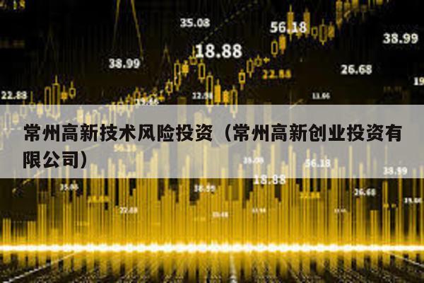 常州高新技術(shù)風(fēng)險(xiǎn)投資(常州高新創(chuàng)業(yè)投資有限公司)