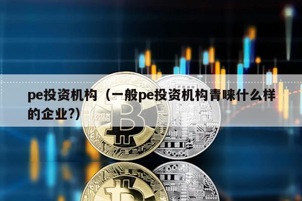 pe投資機構(一般pe投資機構青睞什么樣的企業?)
