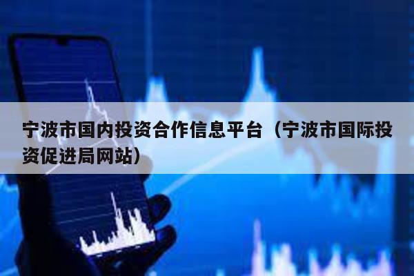 寧波市國內投資合作信息平臺(寧波市國際投資促進局網站)