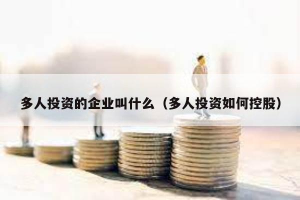 多人投資的企業(yè)叫什么(多人投資如何控股)