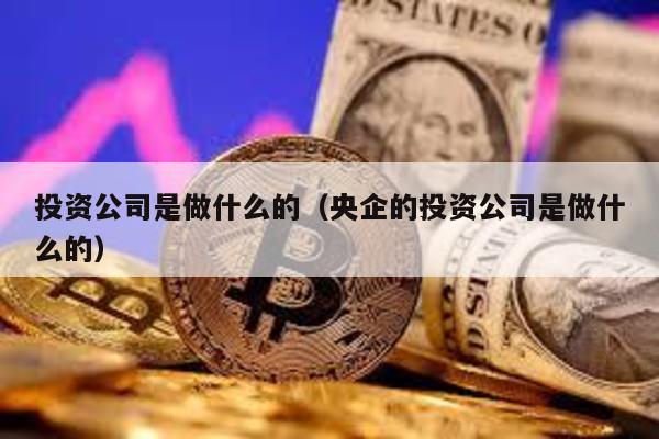 投資公司是做什么的(央企的投資公司是做什么的)
