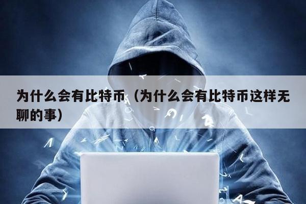 為什么會(huì)有比特幣(為什么會(huì)有比特幣這樣無(wú)聊的事)