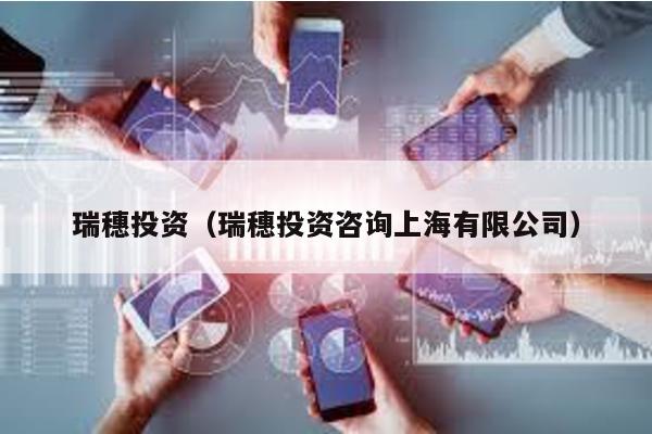 瑞穗投資(瑞穗投資咨詢上海有限公司)