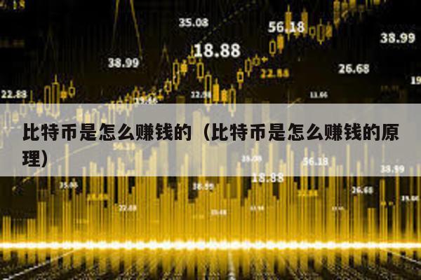 比特幣是怎么賺錢的(比特幣是怎么賺錢的原理)