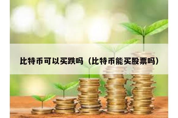 比特幣可以買跌嗎(比特幣能買股票嗎)