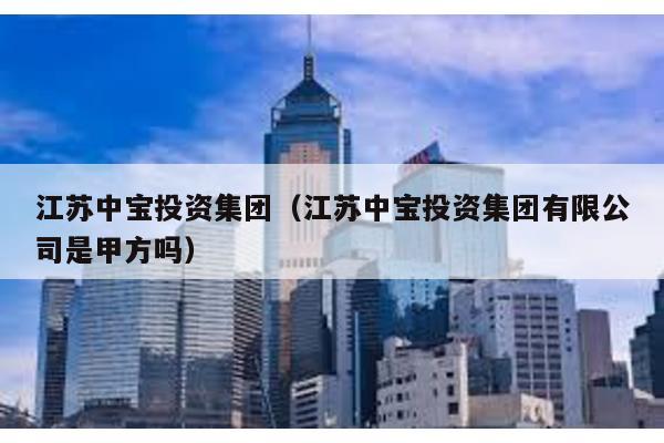 江蘇中寶投資集團(江蘇中寶投資集團有限公司是甲方嗎)