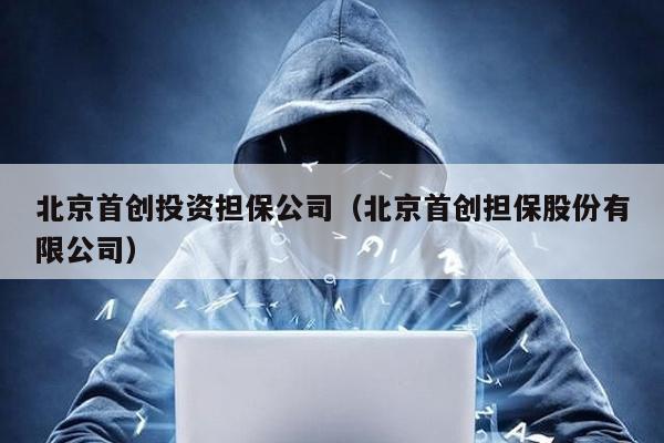 北京首創投資擔保公司(北京首創擔保股份有限公司)