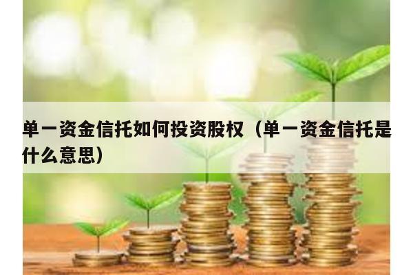 單一資金信托如何投資股權(單一資金信托是什么意思)