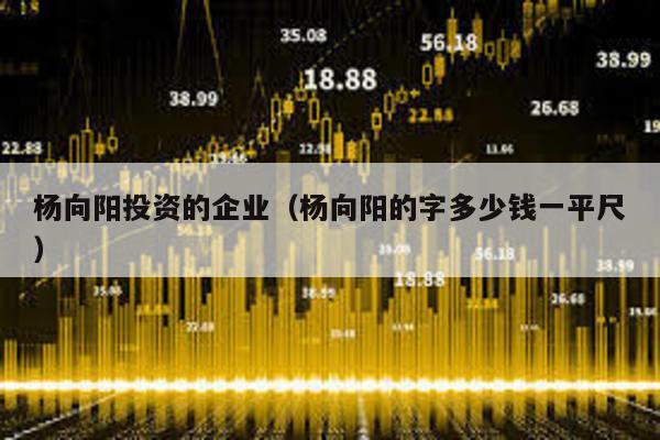 楊向陽投資的企業(yè)(楊向陽的字多少錢一平尺)