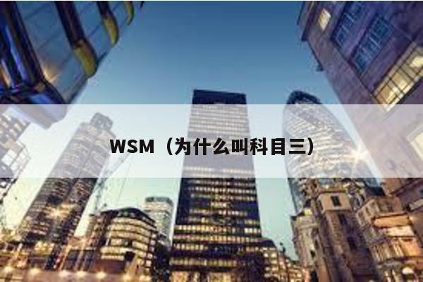 WSM(為什么叫科目三)