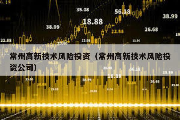 常州高新技術風險投資(常州高新技術風險投資公司)
