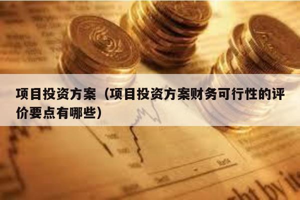 項目投資方案(項目投資方案財務可行性的評價要點有哪些)