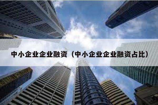 中小企業(yè)企業(yè)融資(中小企業(yè)企業(yè)融資占比)