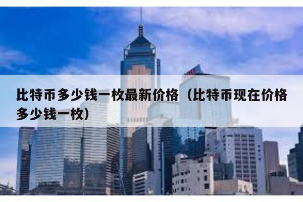 比特幣多少錢一枚最新價格(比特幣現在價格多少錢一枚)