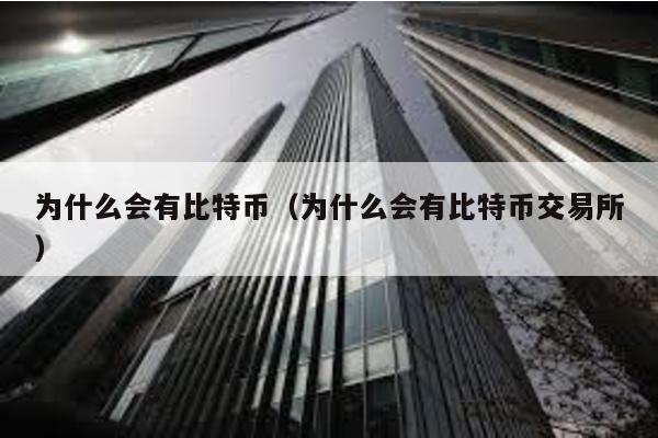 為什么會有比特幣(為什么會有比特幣交易所)