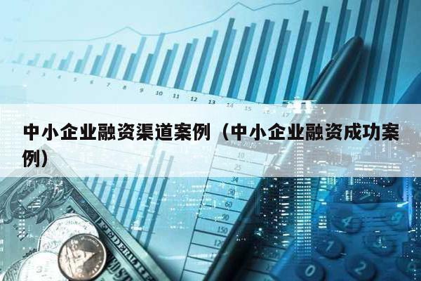 中小企業融資渠道案例(中小企業融資成功案例)