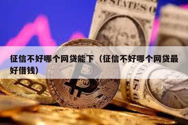 征信不好哪個(gè)網(wǎng)貸能下(征信不好哪個(gè)網(wǎng)貸最好借錢)