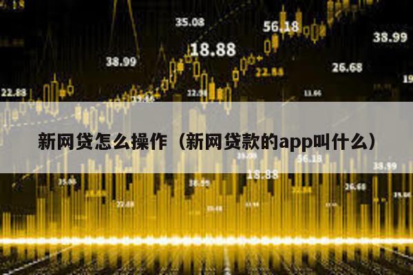 新網貸怎么操作(新網貸款的app叫什么)