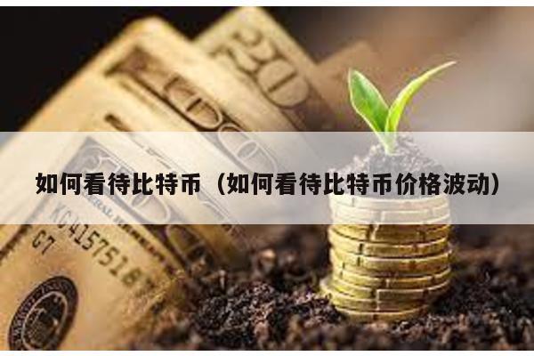 如何看待比特幣(如何看待比特幣價(jià)格波動(dòng))