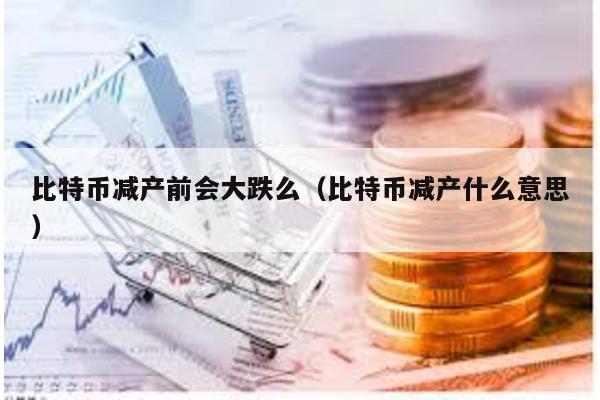 比特幣減產前會大跌么(比特幣減產什么意思)